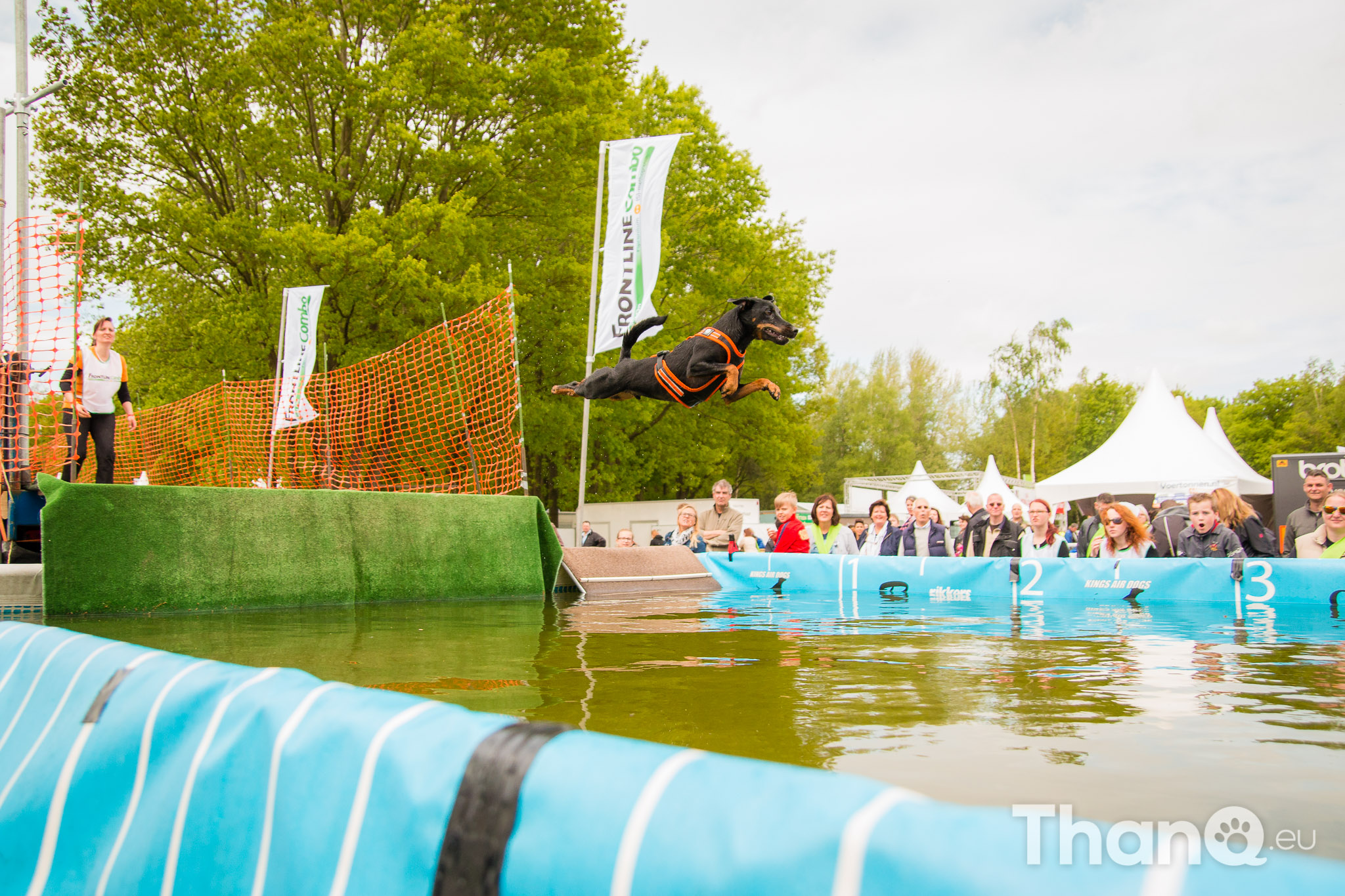 NK Dock Diving 2015 ThanQ.eu