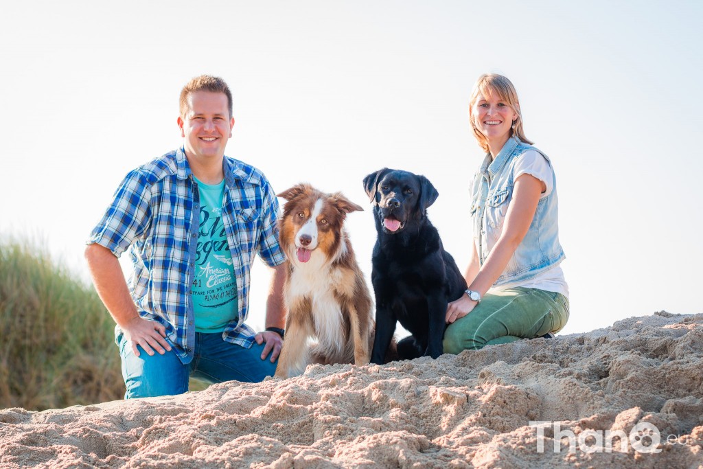 Fotoshoot Mylie (Labrador) en Mellow (Border Collie)