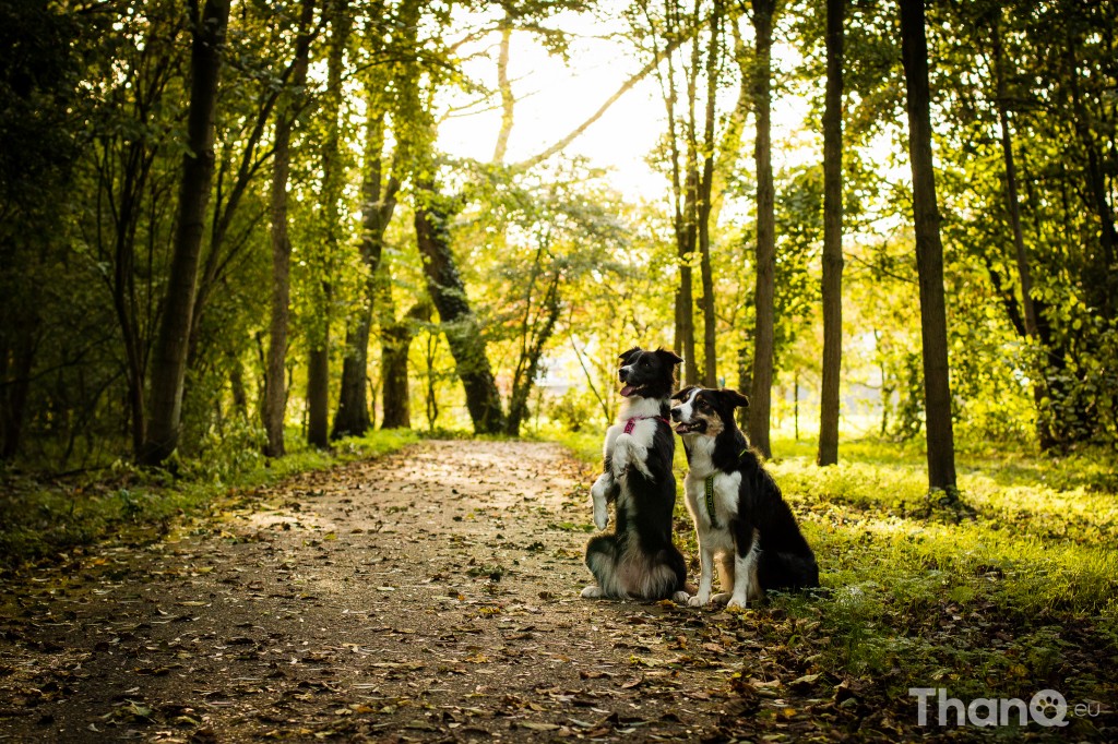 Fenna en Jindi bij Park Valckeslot in Goes