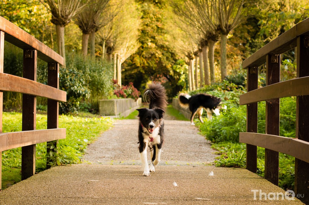 Fenna en Jindi bij Park Valckeslot in Goes