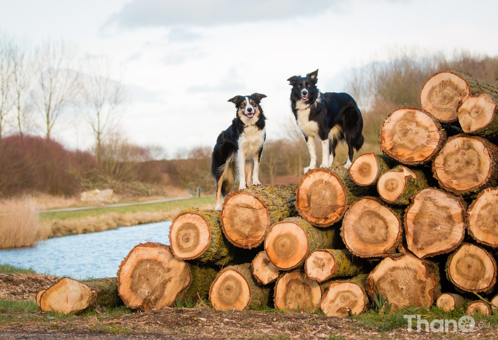 Jindi en Fenna op boomstammen in Goese Polder Park