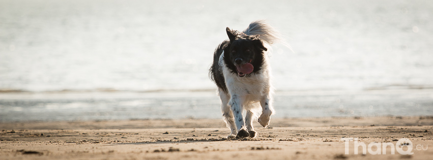 Lucy op het strand