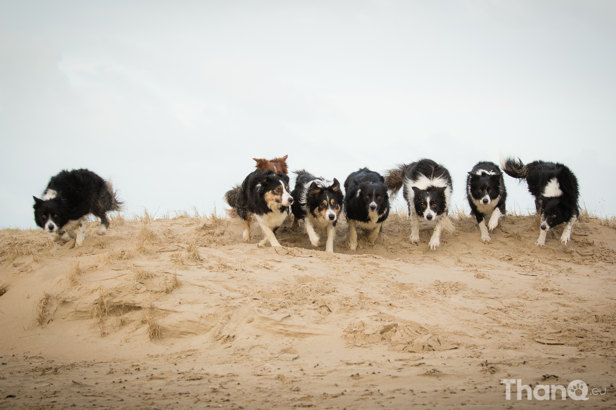 Strandwandeling Renesse 29-12-2014